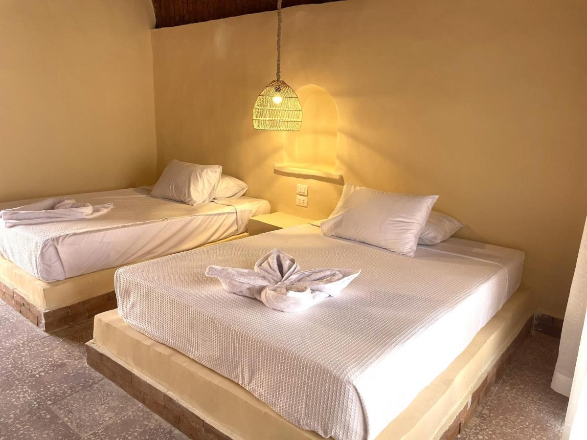 Ayujidda Nubian House Otel Asvan Dış mekan fotoğraf
